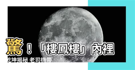 樓鳳樓是什麼|老司機帶路一窺「樓鳳」秘辛！警察這篇論文紅遍全台。